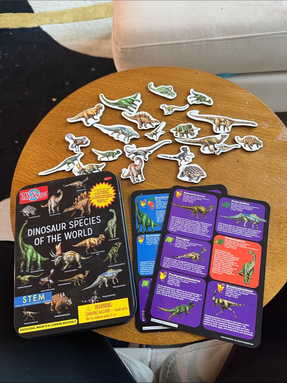 T.S. SHURE Bendon Dinosaur Species Of the World educational Magnets, Tin, STEM